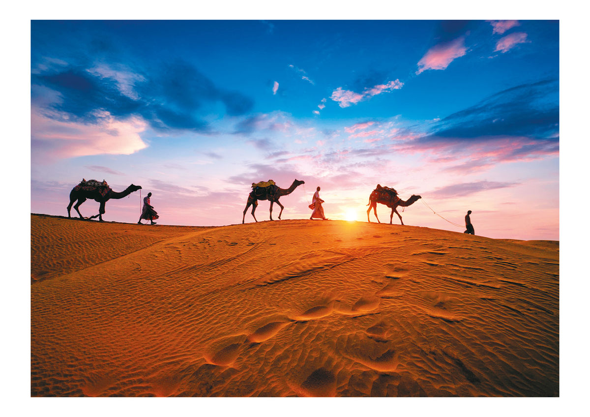 Das Motiv zeigt eine Karawane mit drei Kamelen in der Wüste