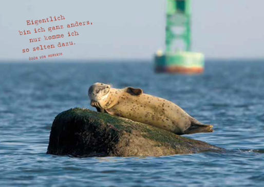 Das Bild zeigt die Postkarte zur Fastenaktion 2024: Eine Robbe liegt auf einem Felsen im Meer, im Hintergrund ist ein grünes Seezeichen. Oben links steht das Motto der Fastenaktion: "Eigentlich bin ich ganz anders, nur komme ich so selten dazu."