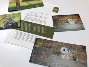 Die Fastenbroschüren der vergangenen Jahre, Fastenbriefe und eine Postkarte aus einer seitlichen Perspektive