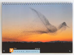Eine Starenschwarm bildet die Silhouette eines Vogels am Abendhimmel