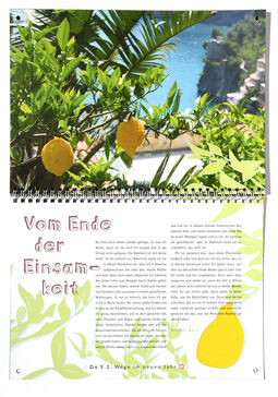Auf der Seite des Anderen Advent ist ein Zitronenbaum vor einem blauen Himmel abgebildet; www.anderezeiten.de