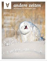Das Foto zeigt eine Schneeeule im Sand mit lachendem Gesichtsausdruck