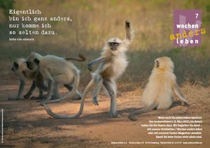 Ein tanzender Affe